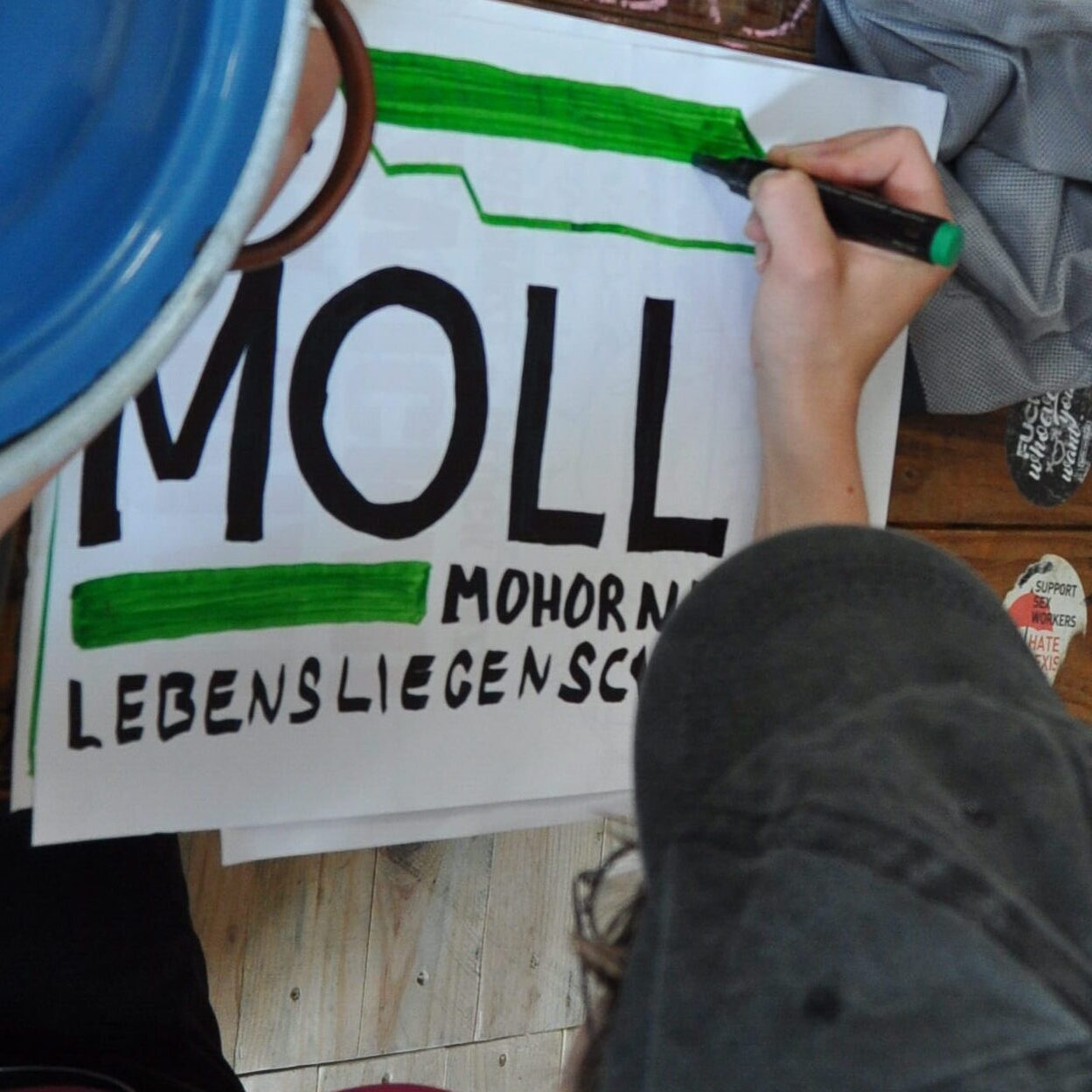 Auf dem Bild zu sehen ist eine Person, die ein Plakat malt auf dem "Molli - Mohorner Lebensliegenschaft" geschrieben steht.