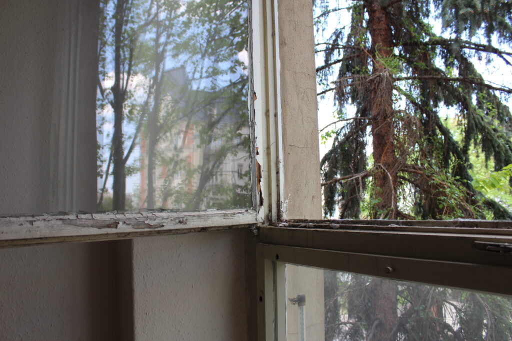 Ein offenes Fenster ermöglicht den Blick auf die Bäume vor dem Haus
